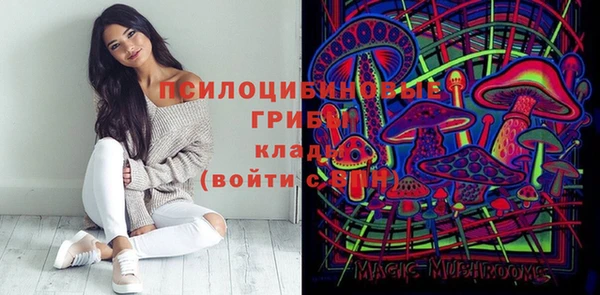 гашик Алексин