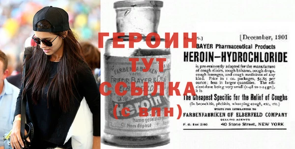 гашик Алексин