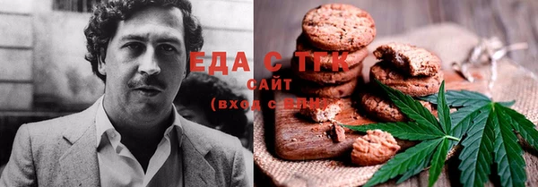 гашик Алексин