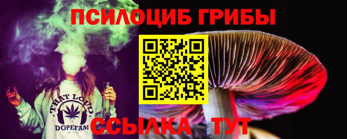 Тихвин  Галлюциногенные грибы Cubensis  Вход с VPN 